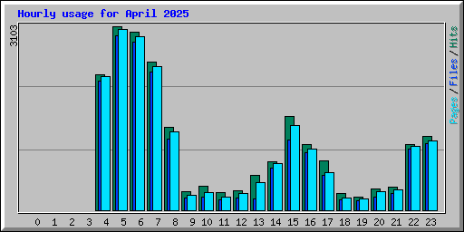 Hourly usage for April 2025